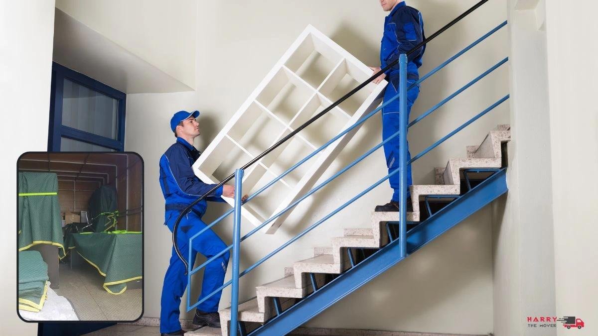 Harry the Mover Multi-Story Moving Specialists in Australia